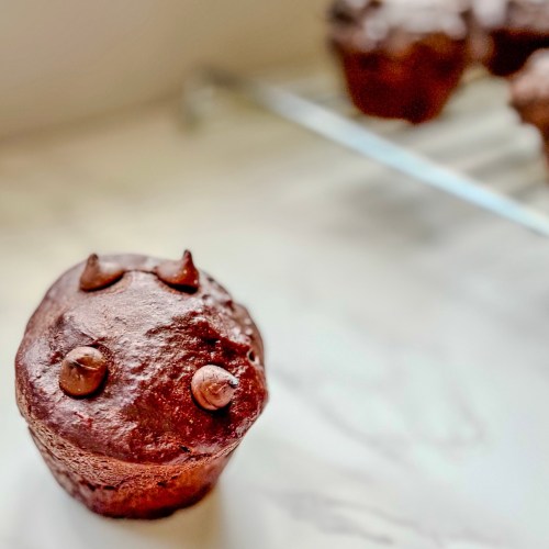 Chocolate banana muffins on a countertop with one sitting in front and the rest on a cooling rack behind