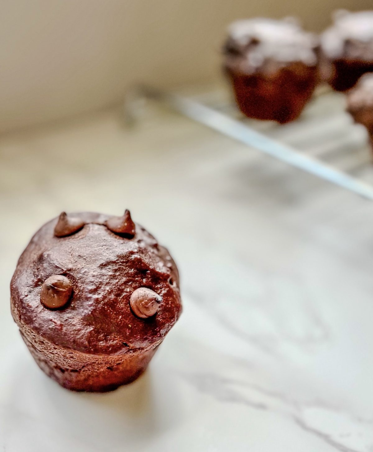 Chocolate banana muffins on a countertop with one sitting in front and the rest on a cooling rack behind