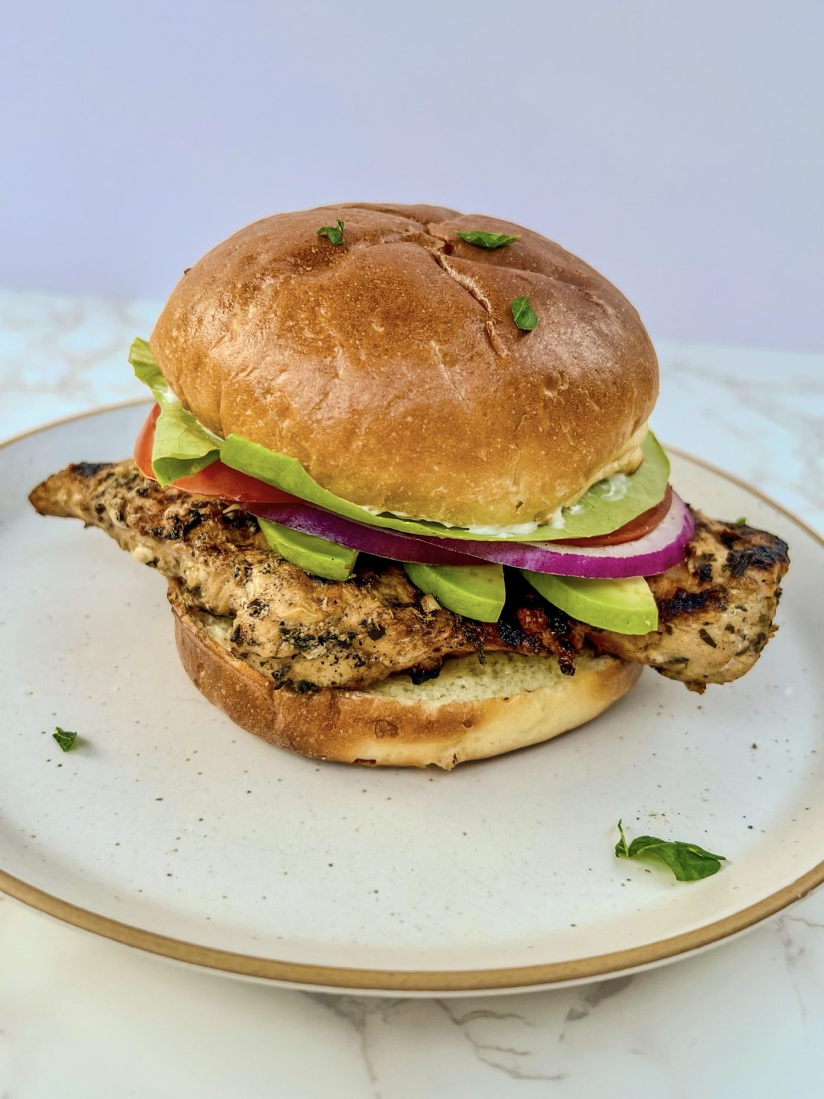 A grilled chicken sandwich with tomato, lettuce, avocado, red onion, and mayo on a brioche bun