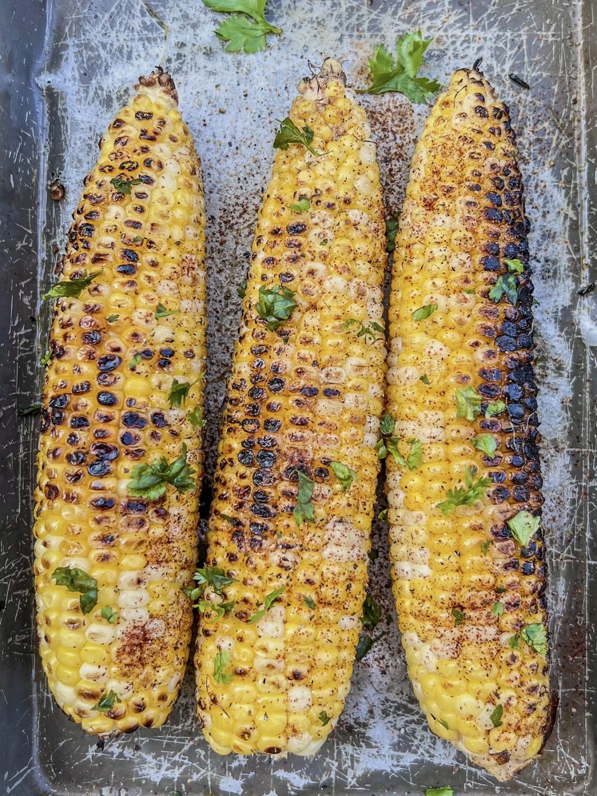 Easy char-grilled corn on the cob in a pan with some butter, salt, freshly cracked black pepper, chili powder, and cilantro on top.