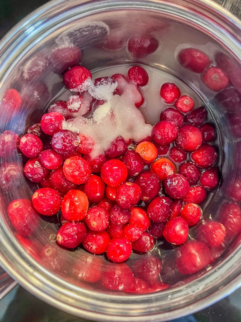Cranberries, sugar, vanilla, water, and salt in a saucepan on the stove.